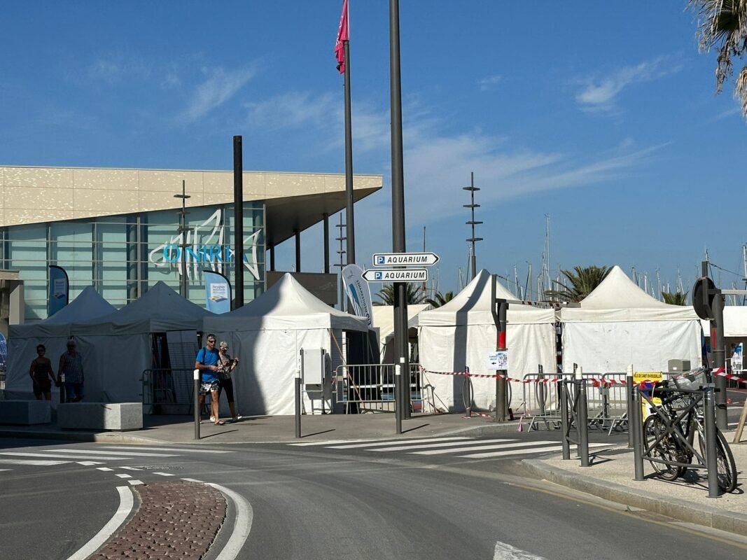 carpa a 2 aguas - transparentes- almacenaje - eventos- tec tents sl (54)