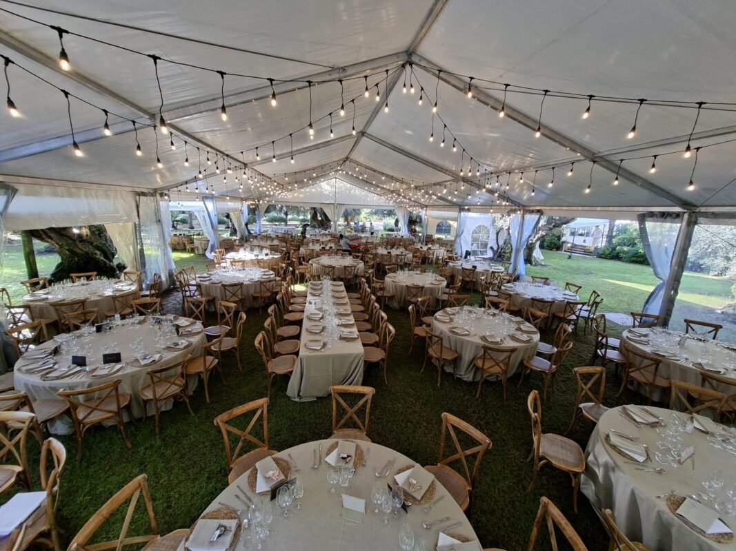 carpa transparente a 2 aguas